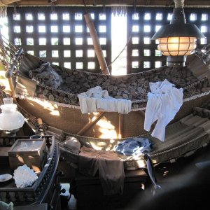 comp IMG 0361