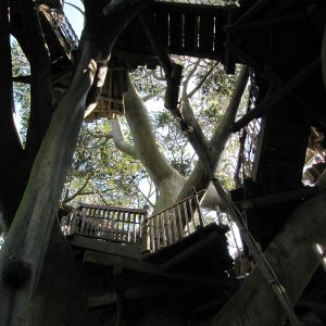 comp IMG 0364