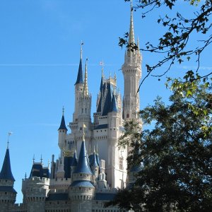 comp IMG 0371