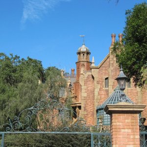 comp IMG 0387