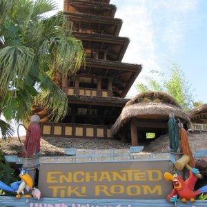 comp IMG 0420