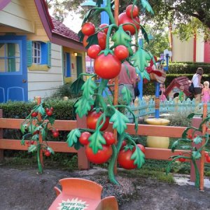 comp IMG 0475