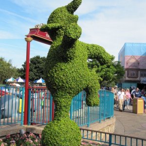 comp IMG 0484