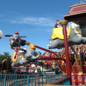 comp IMG 0485