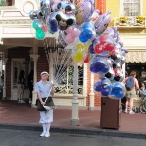 comp IMG 0504