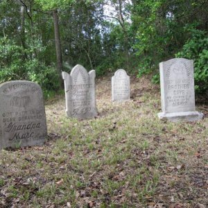 comp IMG 0963