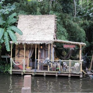comp IMG 0967