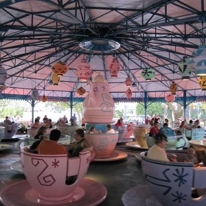 comp IMG 0988