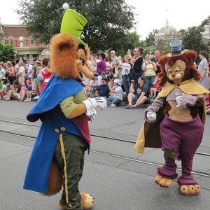 comp IMG 1005