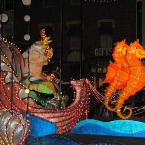 comp IMG 1068