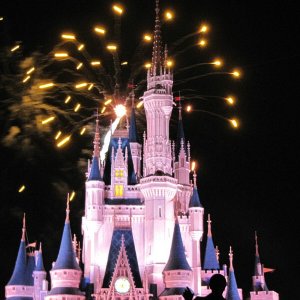 comp IMG 1103