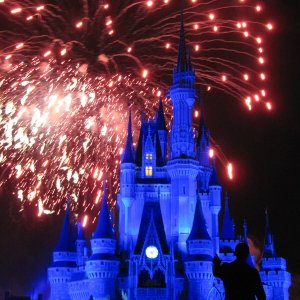 comp IMG 1108