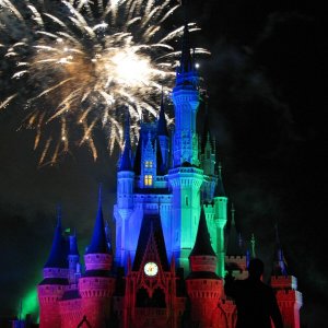 comp IMG 1110