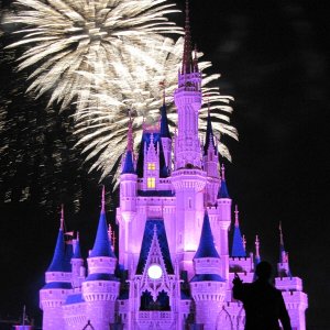 comp IMG 1111