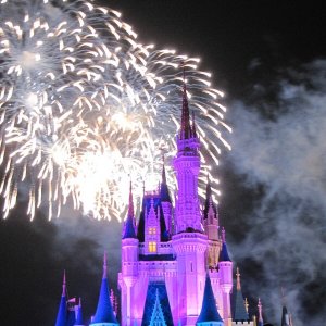 comp IMG 1113