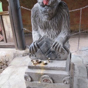 comp IMG 0022