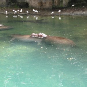 comp IMG 0054
