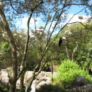 comp IMG 0055