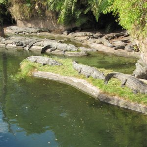 comp IMG 0056