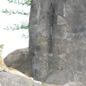 comp IMG 0063