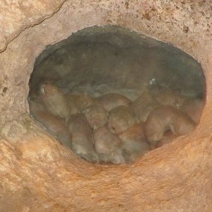 comp IMG 0552