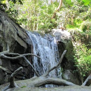 comp IMG 0556