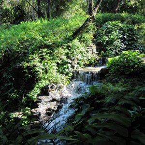 comp IMG 0564
