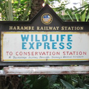comp IMG 0565