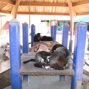 comp IMG 0572
