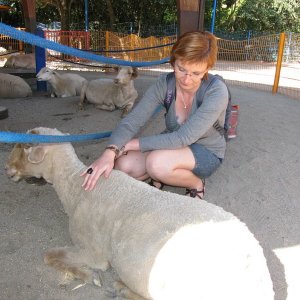 comp IMG 0574