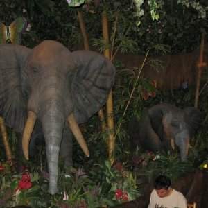 comp IMG 0605