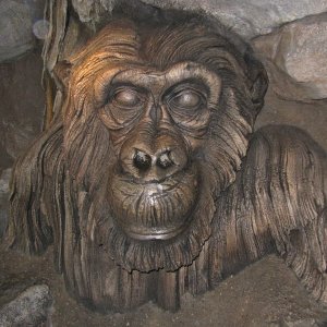 comp IMG 0612