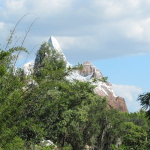 comp IMG 0617