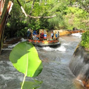 comp IMG 0623