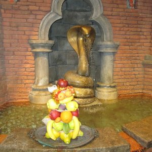 comp IMG 0629
