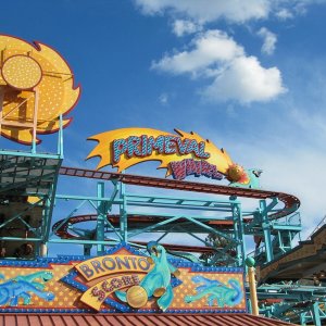 comp IMG 0671