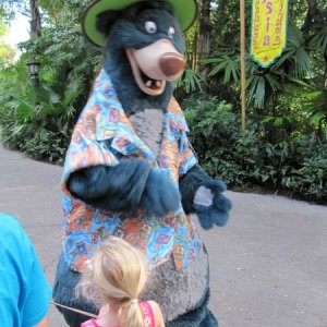 comp IMG 0702
