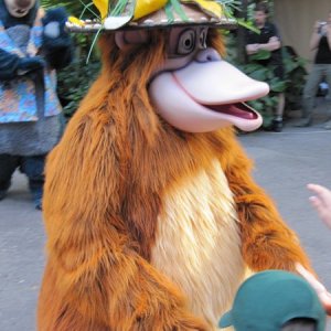 comp IMG 0703