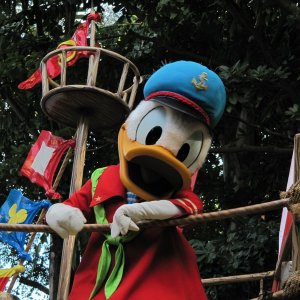comp IMG 0726