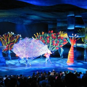 comp IMG 0735