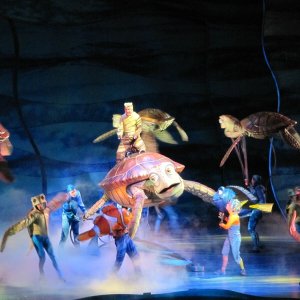 comp IMG 0742