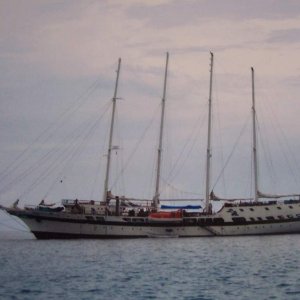 Ein Traum von einem Segelschiff