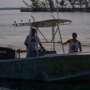 Das Wassertaxi