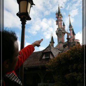 comp IMG 8837