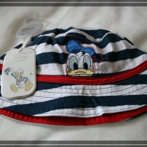 comp IMG 7287