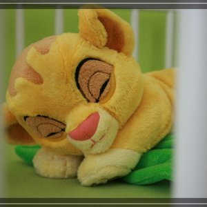 comp IMG 5681