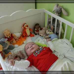 comp IMG 7003
