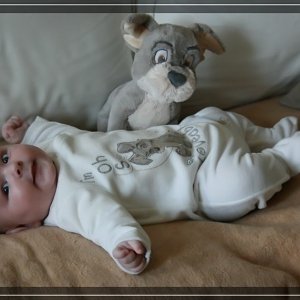 comp IMG 7458