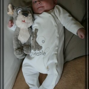 comp IMG 7480