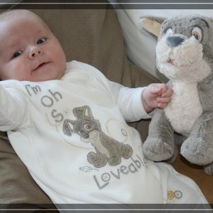 comp IMG 7493
